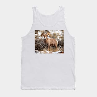 Bighorn Sheep Tank Top